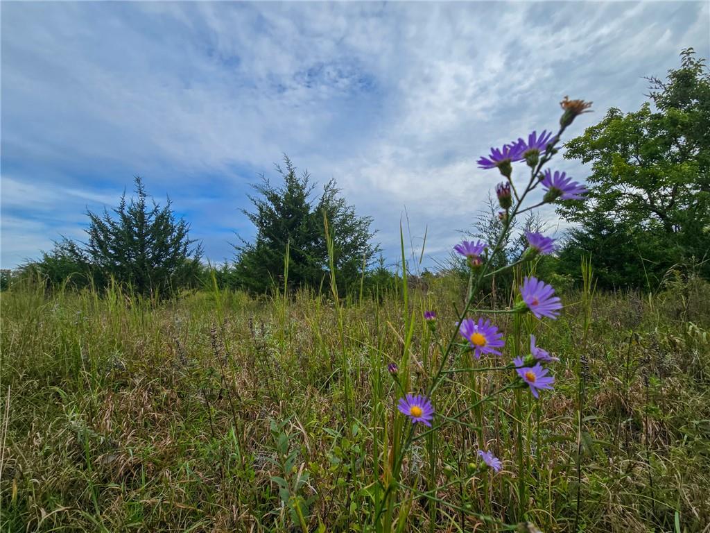 22102 75 Highway Property Photo 26