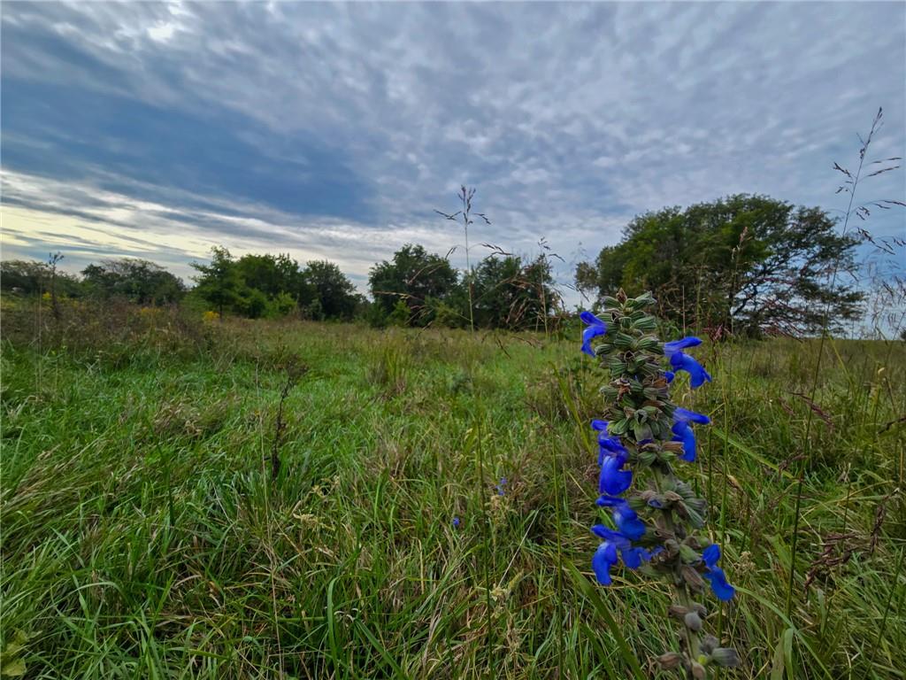 22102 75 Highway Property Photo 28