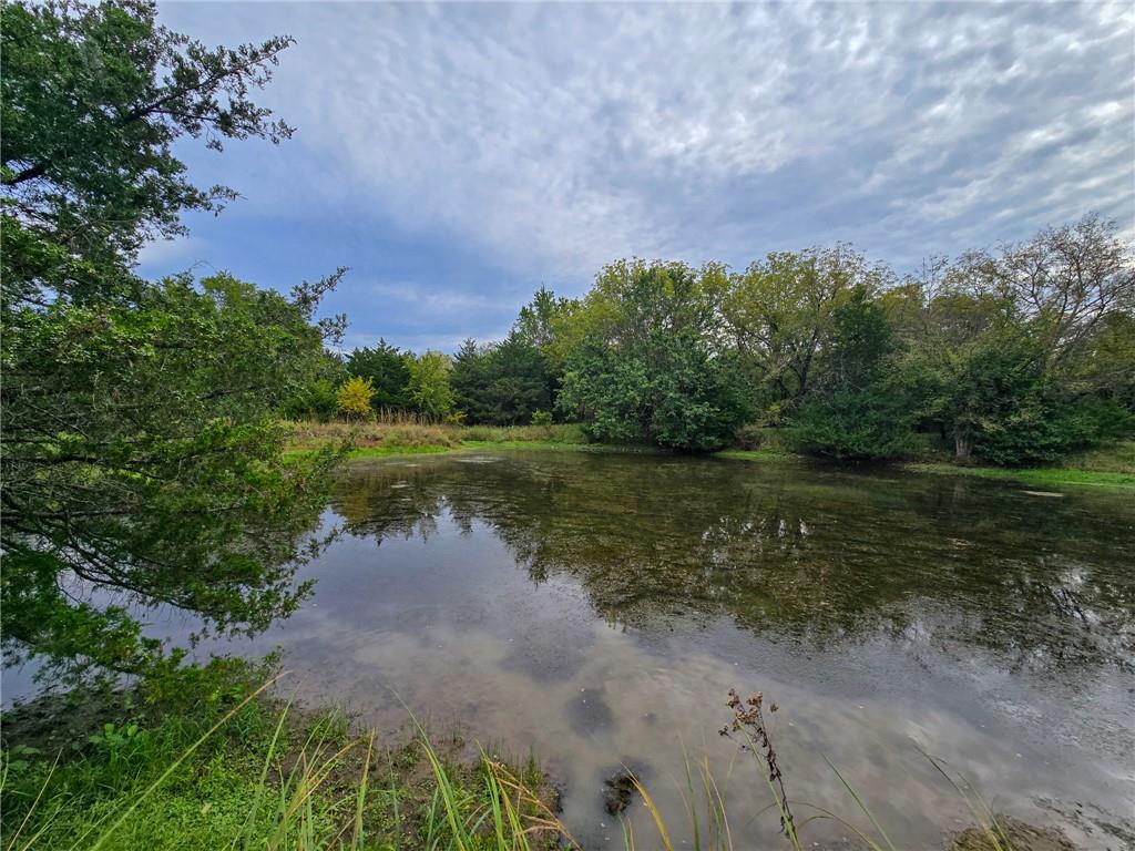 22102 75 Highway Property Photo 31