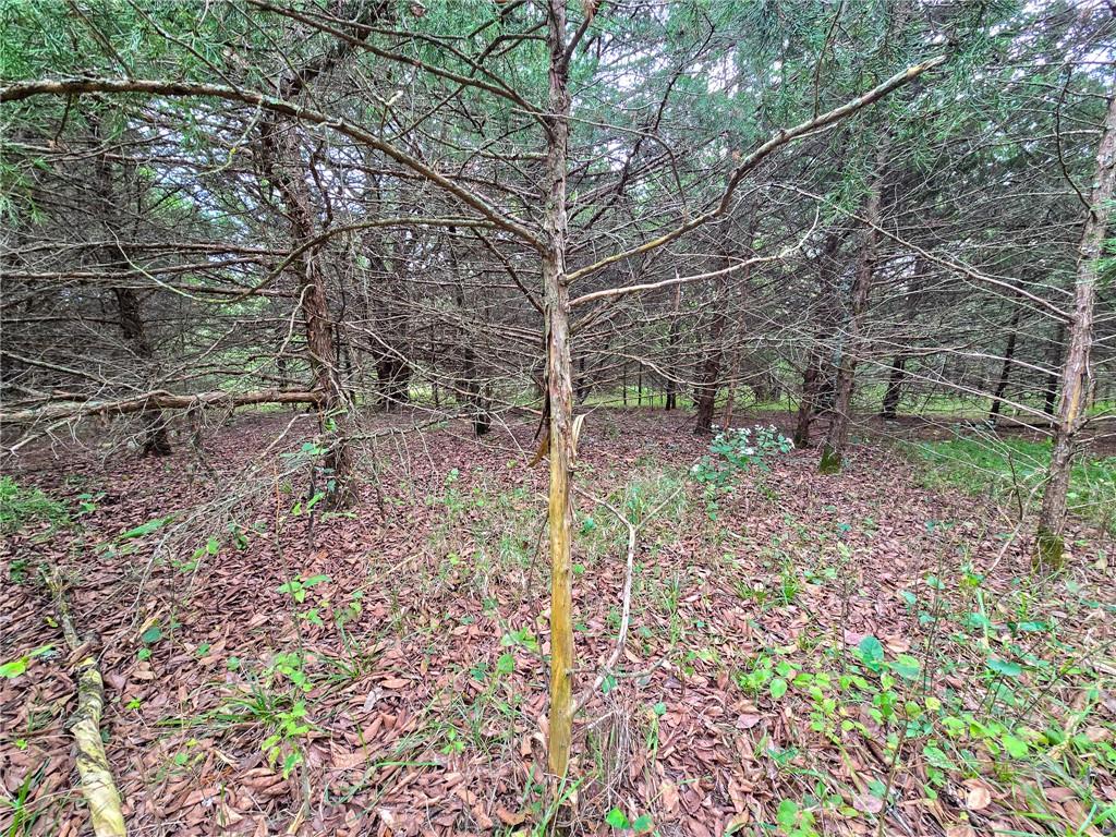 22102 75 Highway Property Photo 32