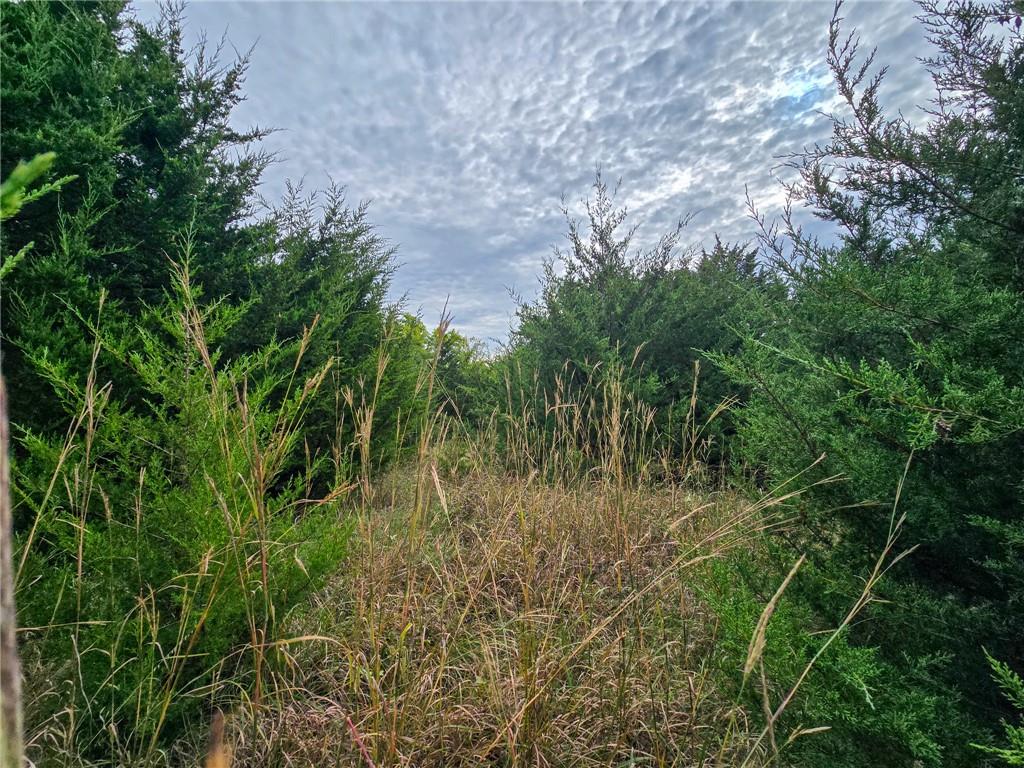 22102 75 Highway Property Photo 34