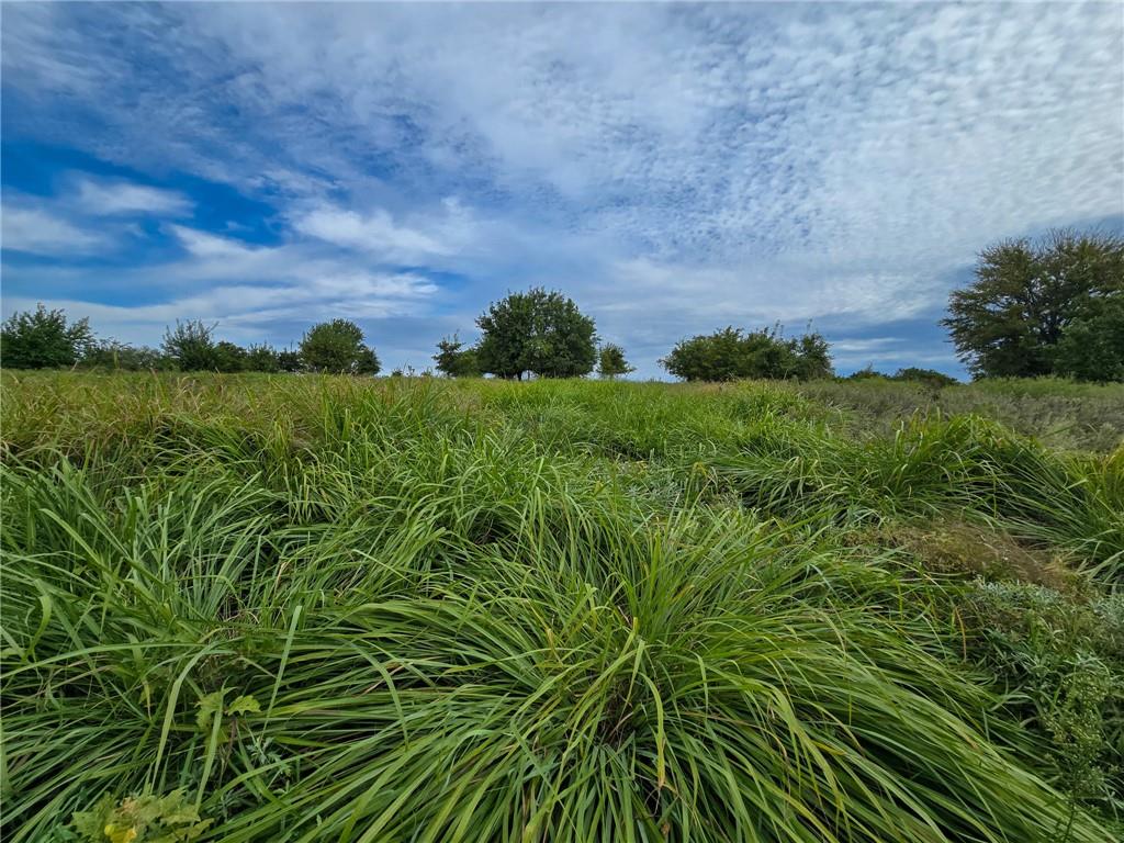 22102 75 Highway Property Photo 36