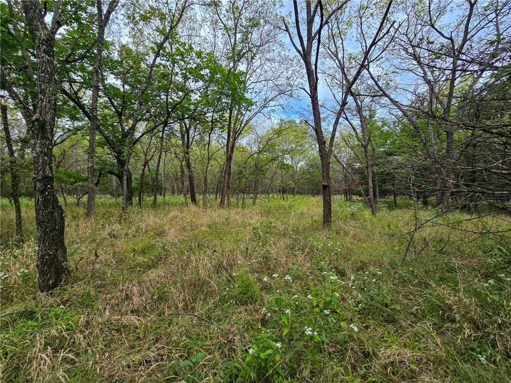 22102 75 Highway Property Photo 38
