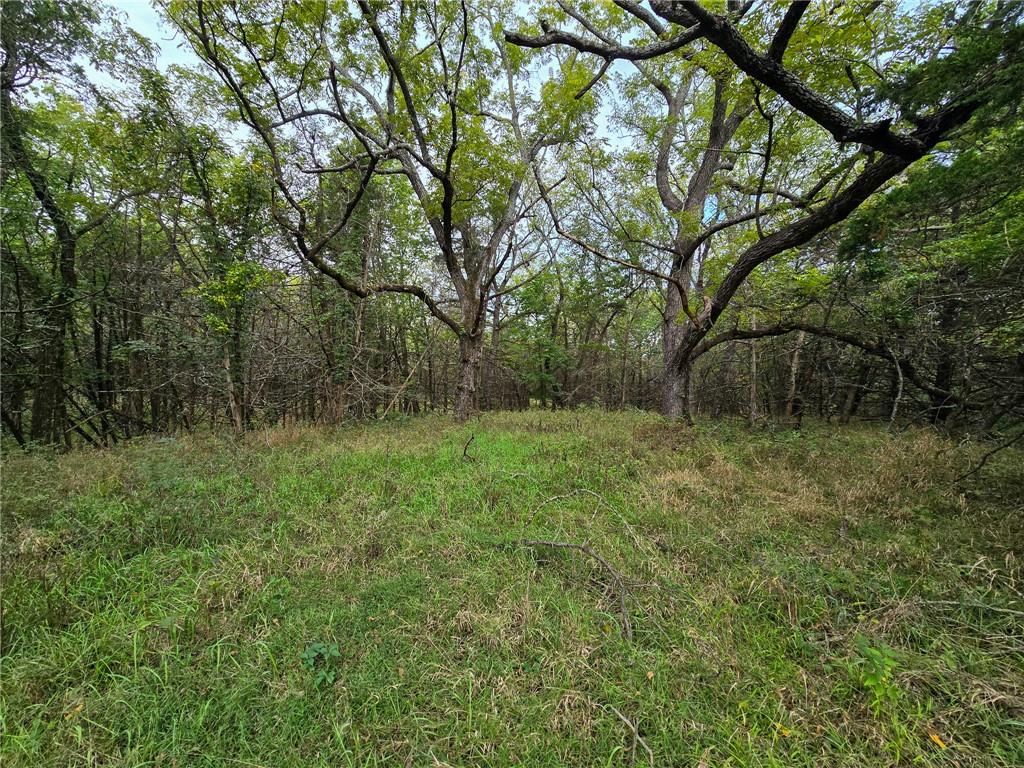 22102 75 Highway Property Photo 39