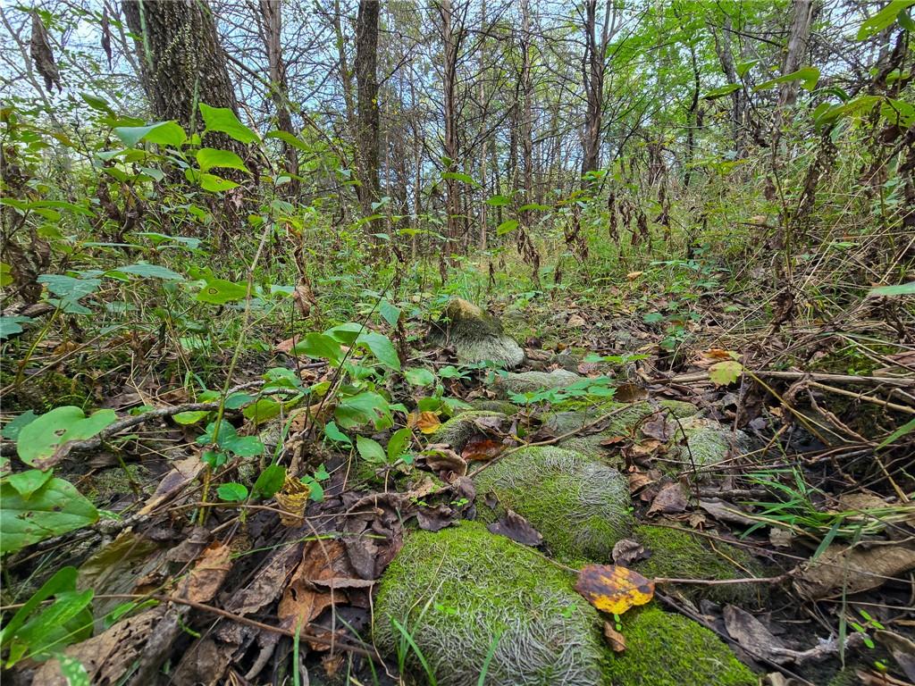 22102 75 Highway Property Photo 40