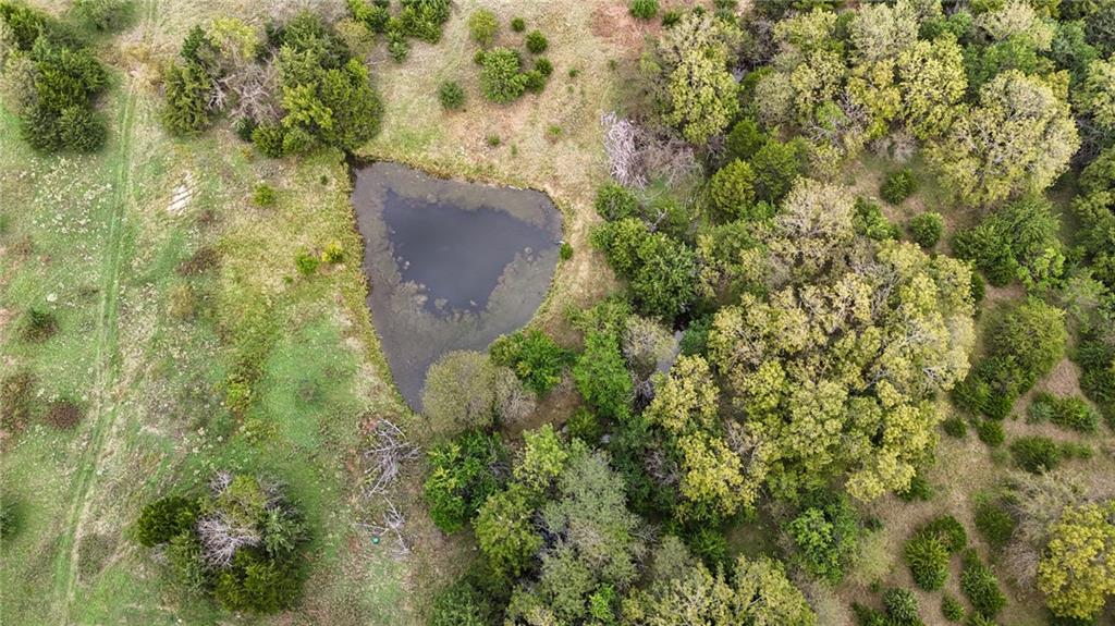 22102 75 Highway Property Photo 45