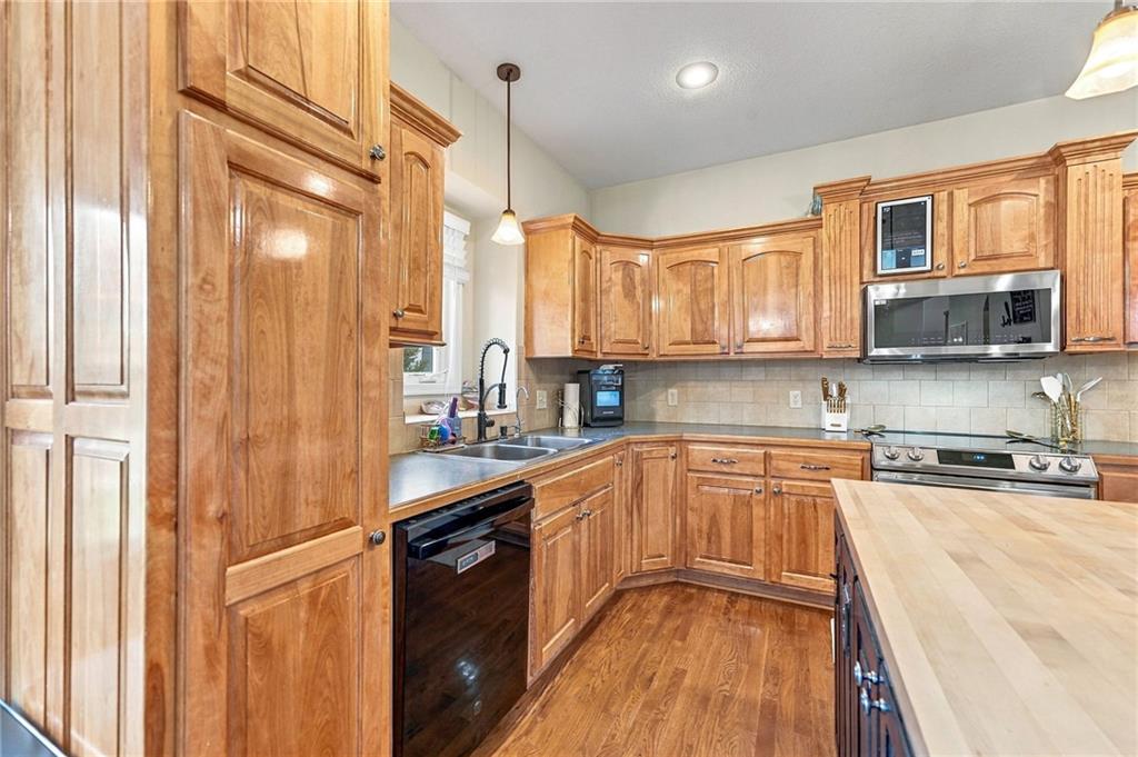 12606 S Laci Circle Property Photo 18