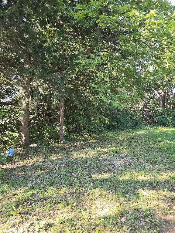 26669 New Lawrence Drive Property Photo 4