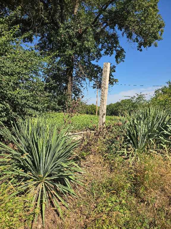 26669 New Lawrence Drive Property Photo 47