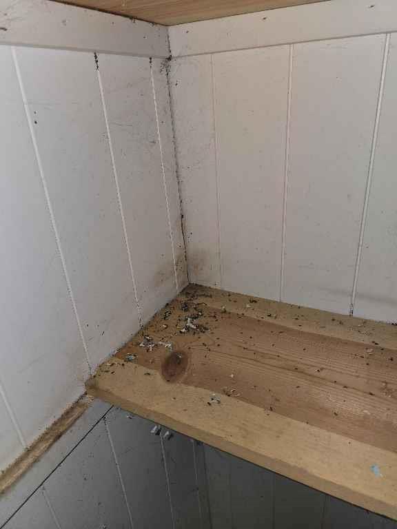 26669 New Lawrence Drive Property Photo 72