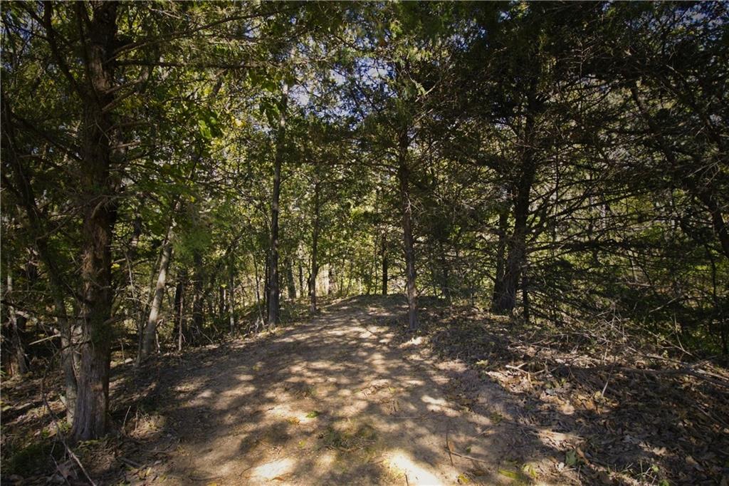 36401 E Bynum Spur Road Property Photo 88