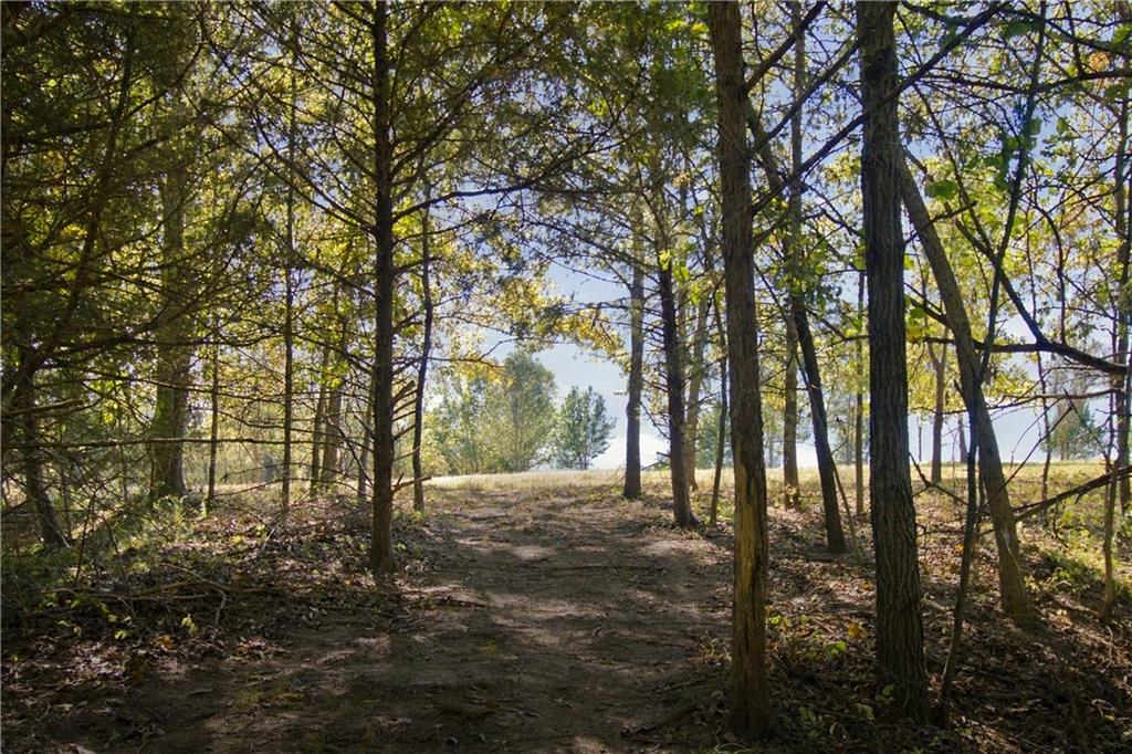 36401 E Bynum Spur Road Property Photo 89