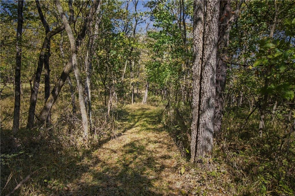 36401 E Bynum Spur Road Property Photo 90