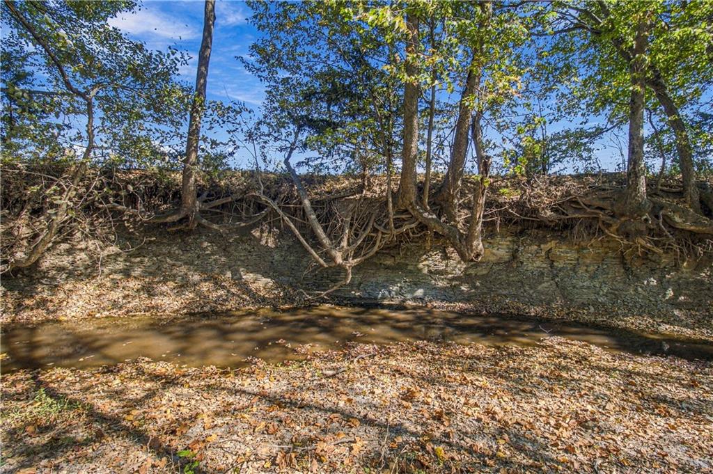36401 E Bynum Spur Road Property Photo 91