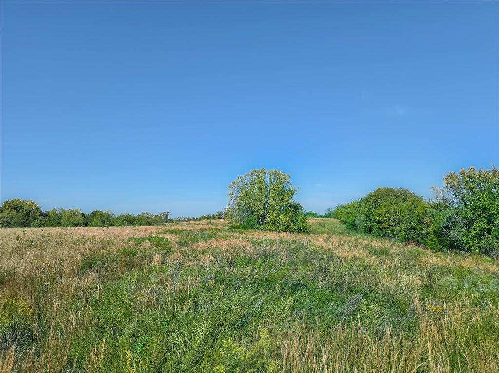 235th Street Property Photo 8