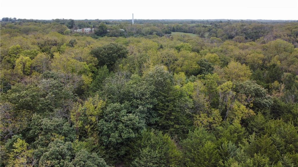 0 Locust Drive Property Photo 5