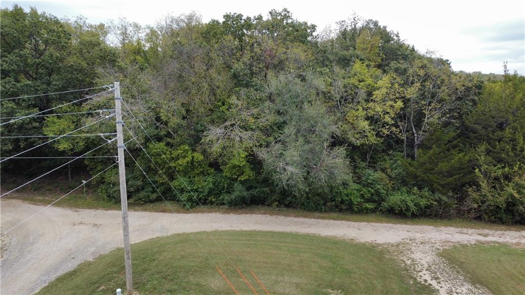 0 Locust Drive Property Photo 12