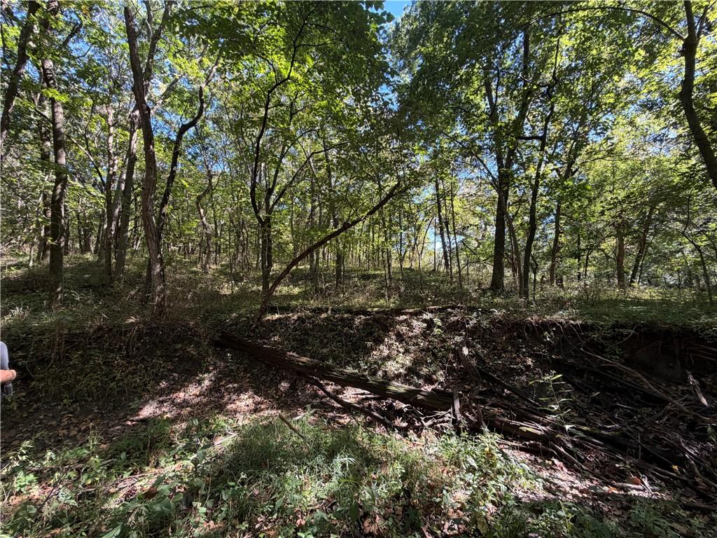 Lot 4/tract 4a E State Route Vv N/a Property Photo 10