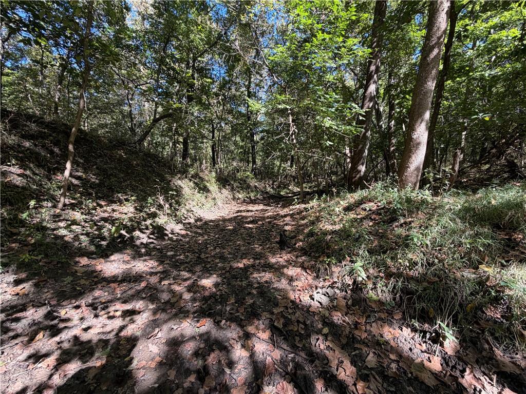 Lot 4/tract 4a E State Route Vv N/a Property Photo 11