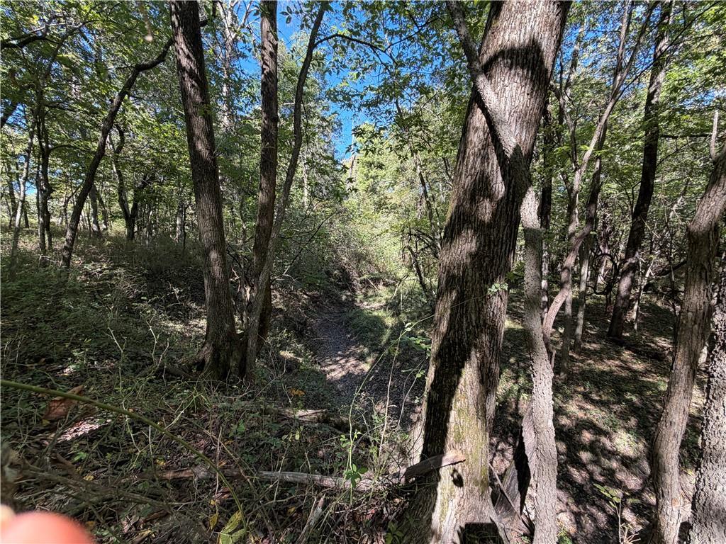 Lot 4/tract 4a E State Route Vv N/a Property Photo 12