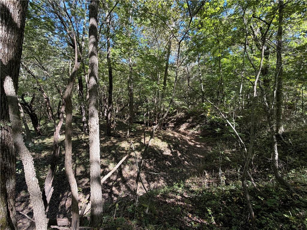 Lot 4/tract 4a E State Route Vv N/a Property Photo 13