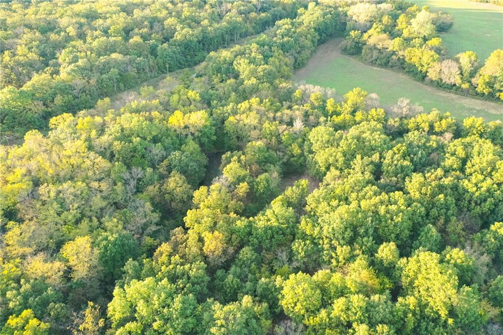 Tbd 651st Road Property Photo 14