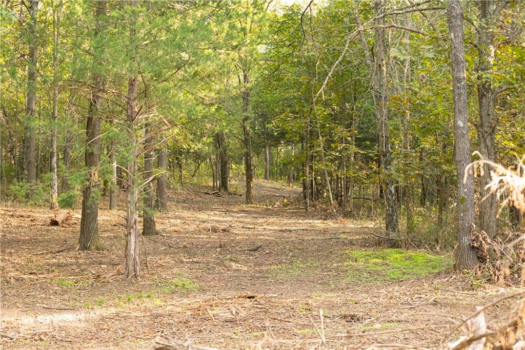 Tbd 651st Road Property Photo 37