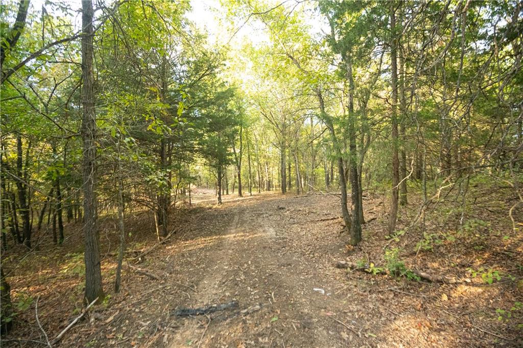 Tbd 651st Road Property Photo 39
