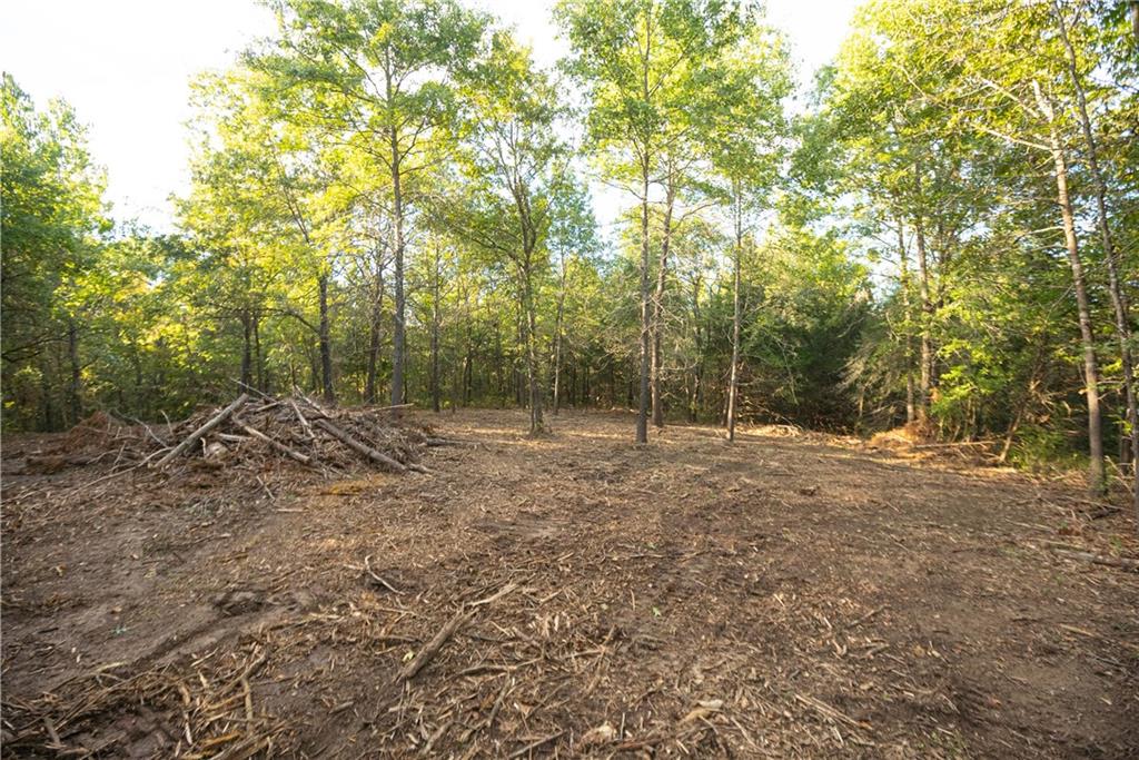 Tbd 651st Road Property Photo 41
