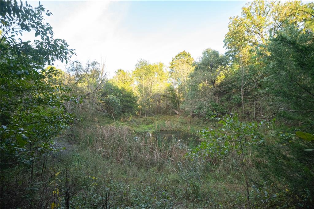 Tbd 651st Road Property Photo 47