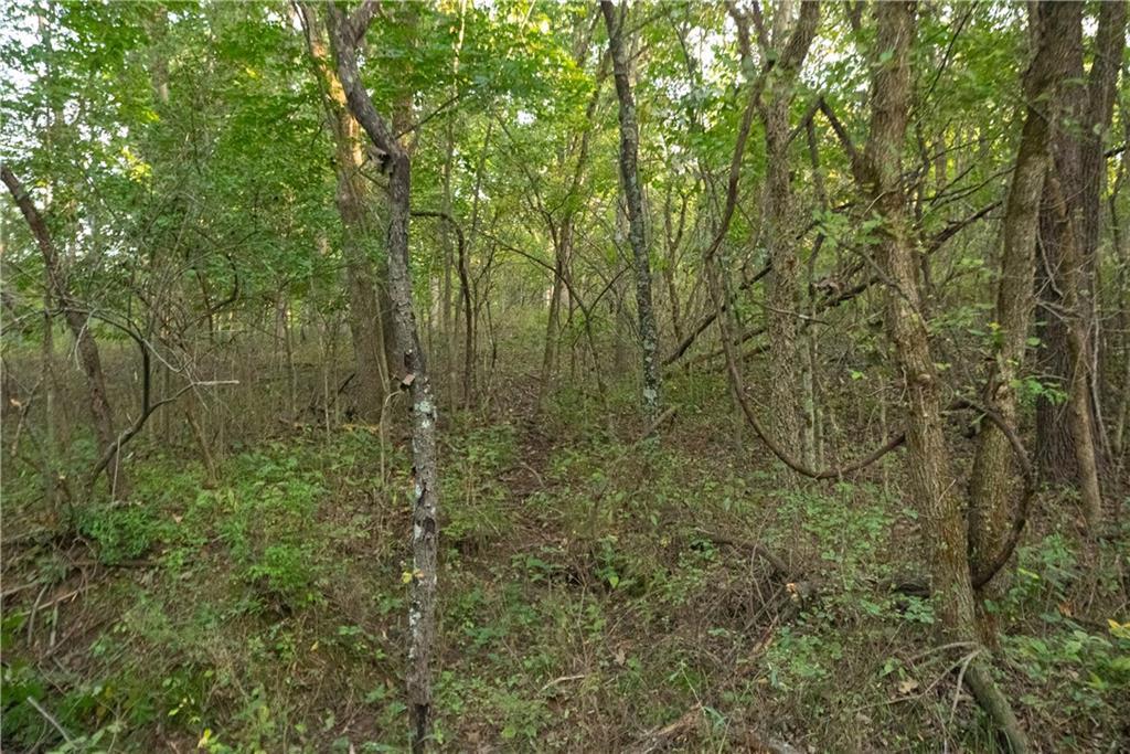 Tbd 651st Road Property Photo 57