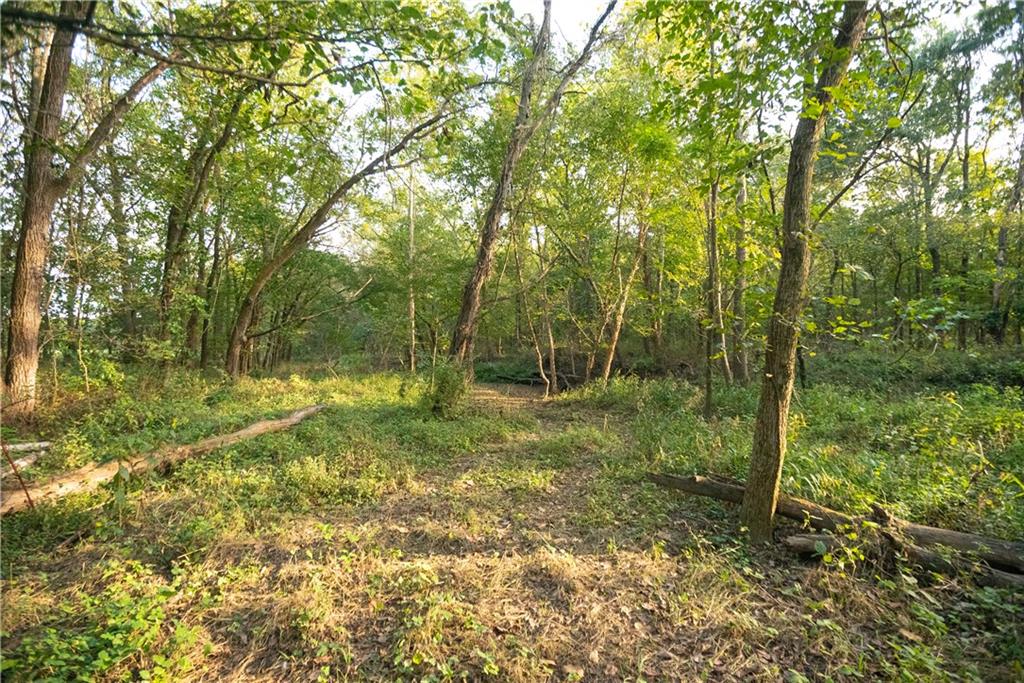 Tbd 651st Road Property Photo 60