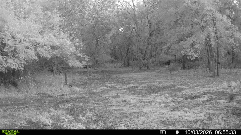 Tbd 651st Road Property Photo 77