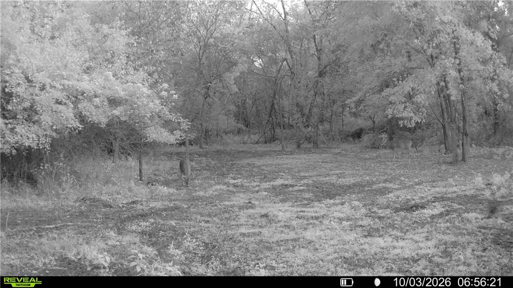 Tbd 651st Road Property Photo 78