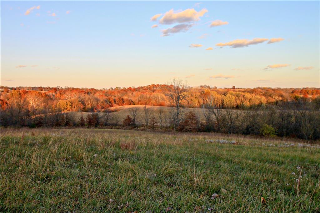 22413 State Hwy C Highway Property Photo 37