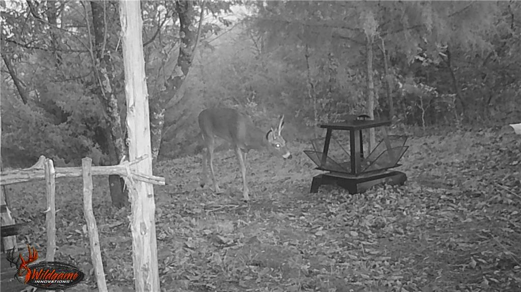 22413 State Hwy C Highway Property Photo 42