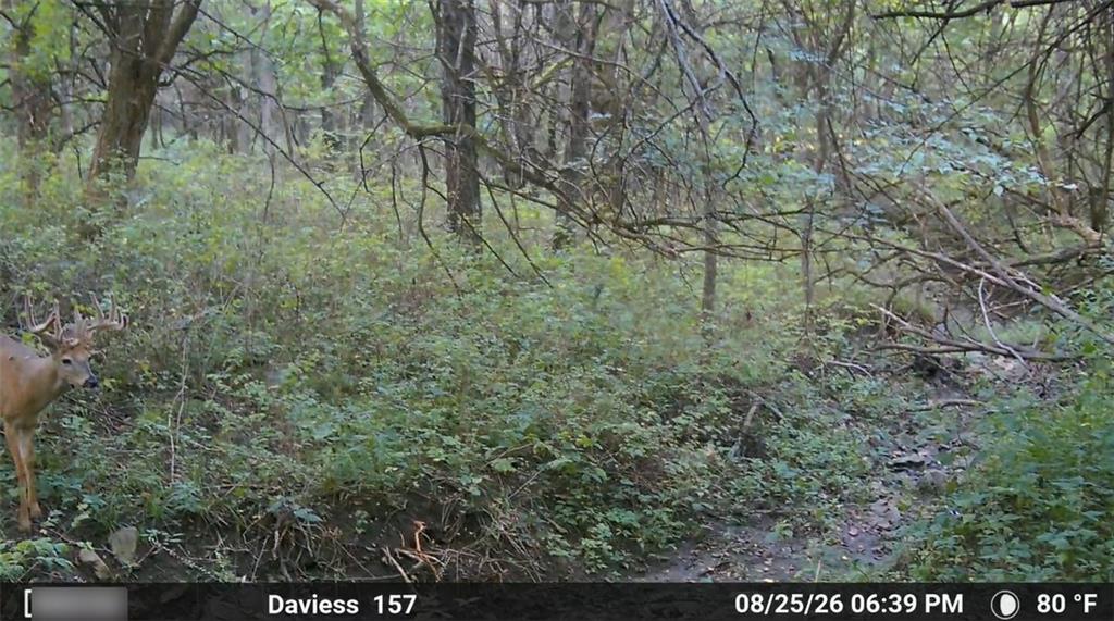 0000000 Key Avenue Property Photo 2