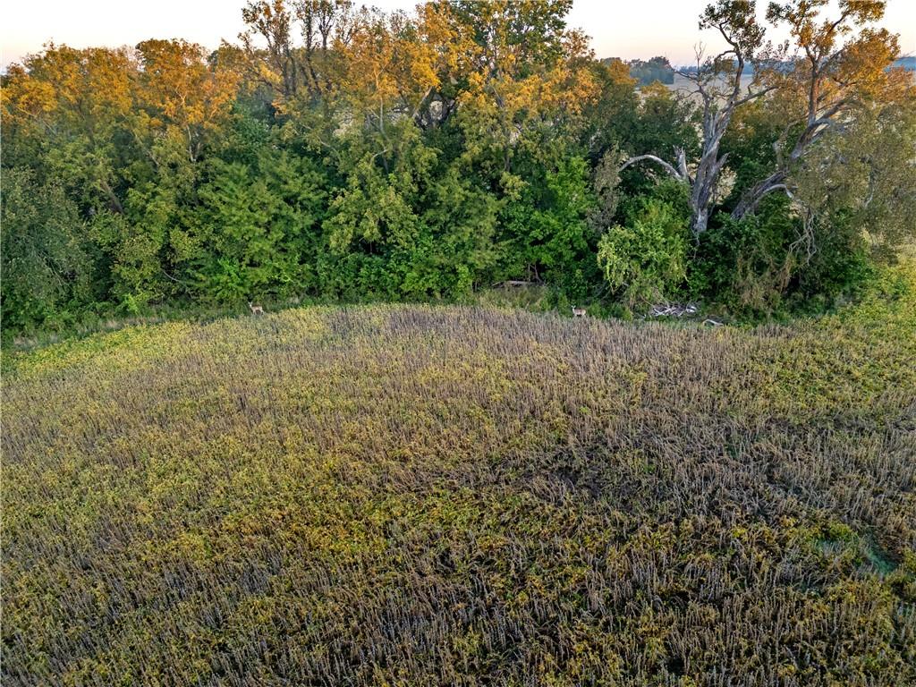 Klondike Ave Avenue Property Photo 18