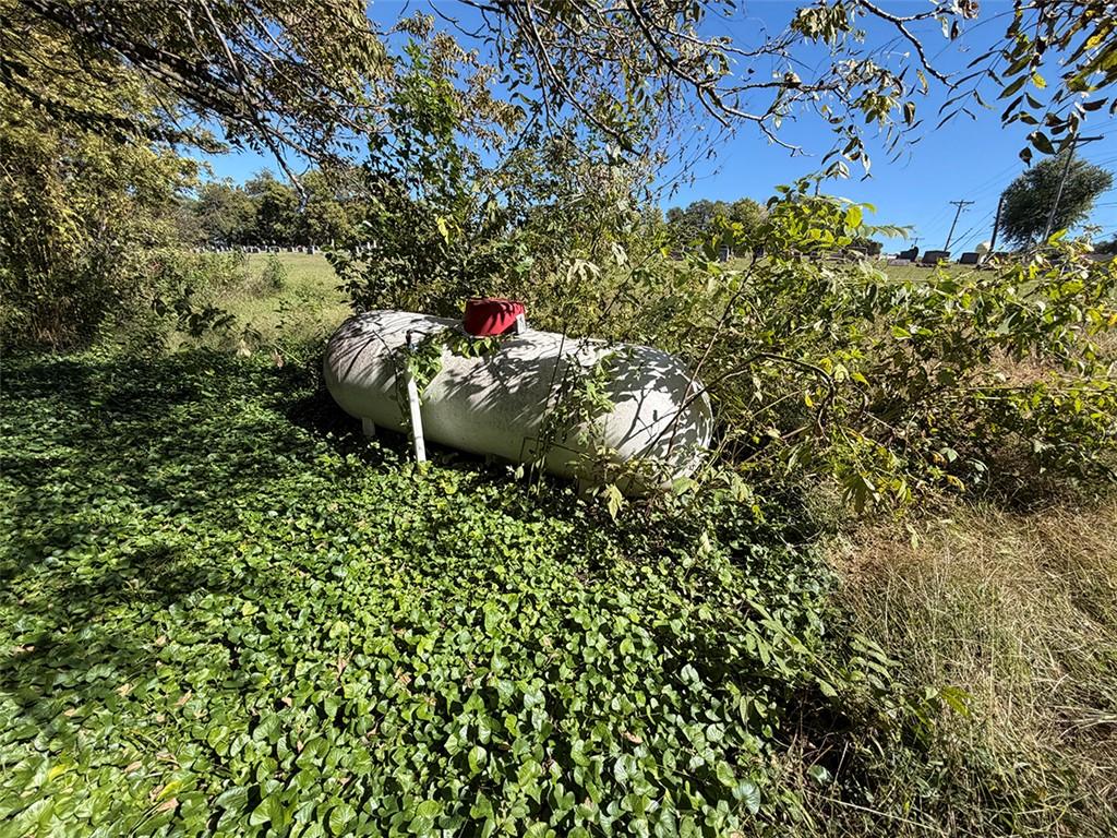 603 Mo-224 Highway Property Photo 34