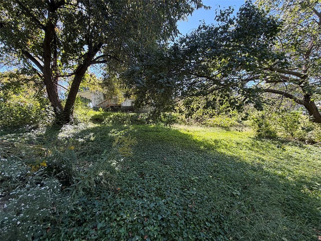 603 Mo-224 Highway Property Photo 53