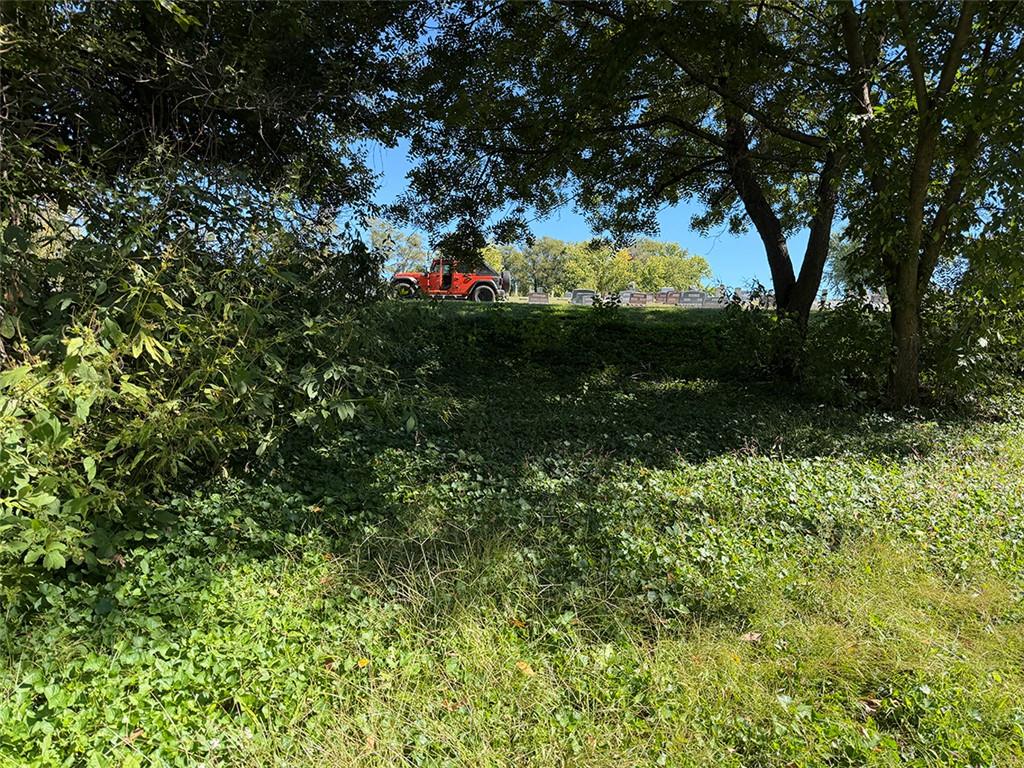 603 Mo-224 Highway Property Photo 76