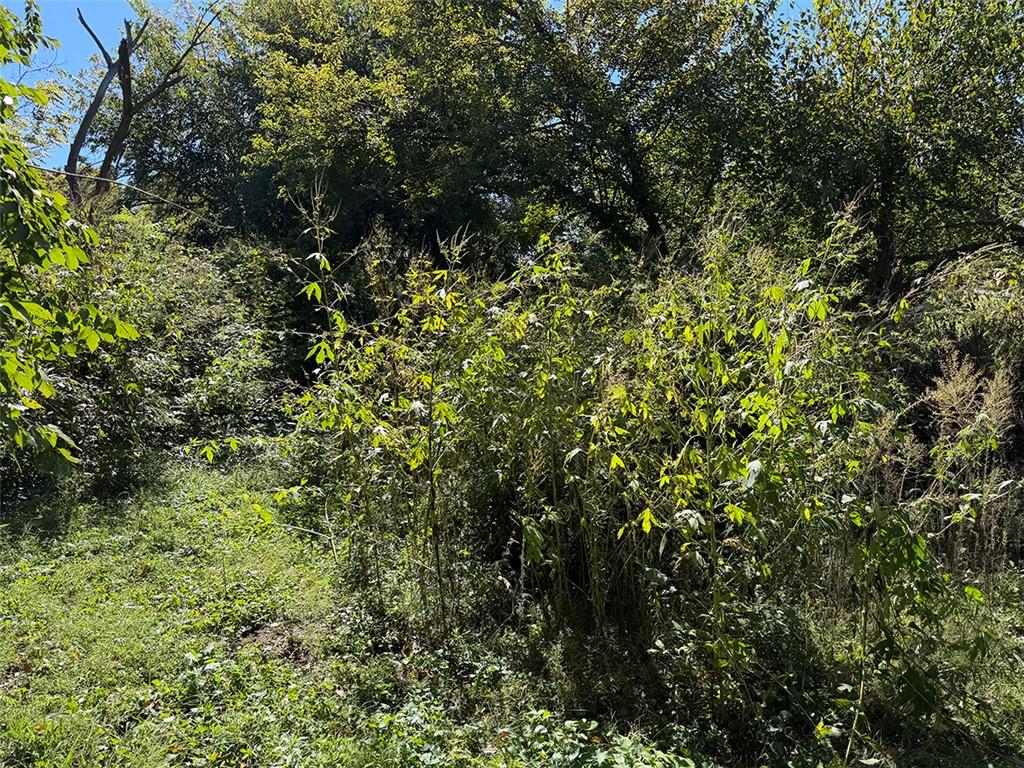 603 Mo-224 Highway Property Photo 77