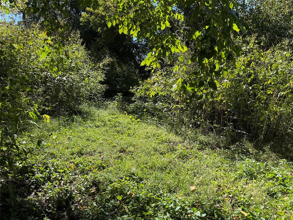603 Mo-224 Highway Property Photo 78