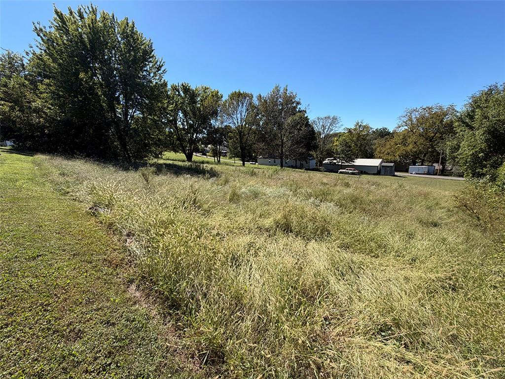 603 Mo-224 Highway Property Photo 79