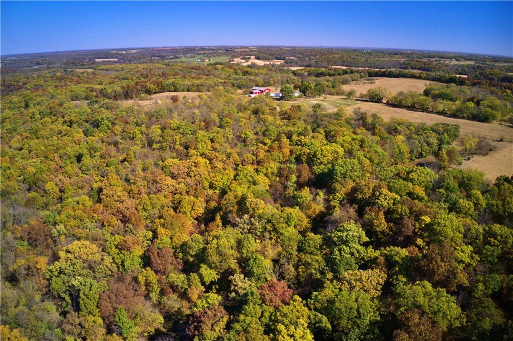 19904 Rattlesnake Road Property Photo 3
