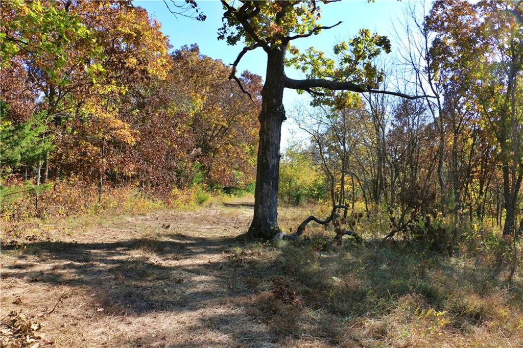 19904 Rattlesnake Road Property Photo 49