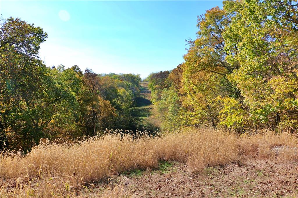 19904 Rattlesnake Road Property Photo 51