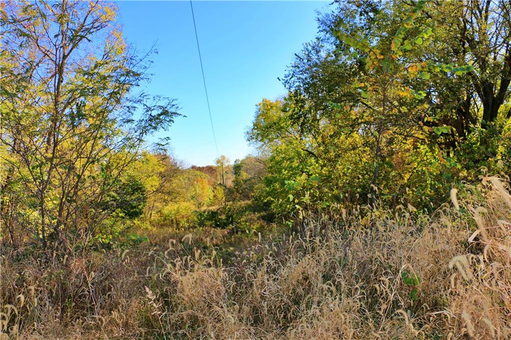 19904 Rattlesnake Road Property Photo 52
