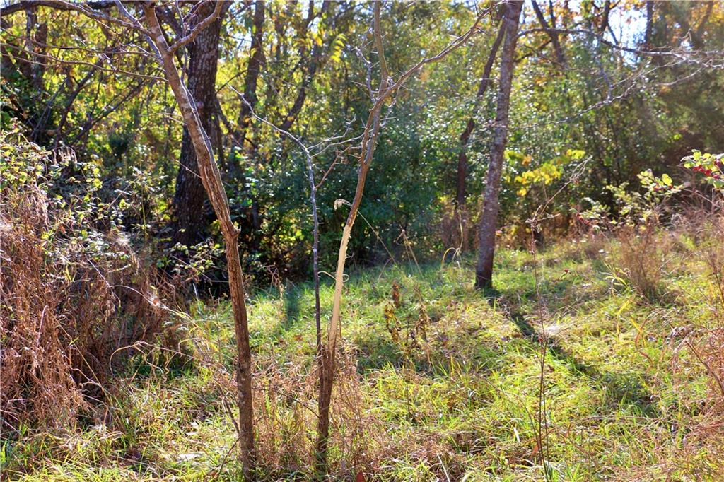 19904 Rattlesnake Road Property Photo 55