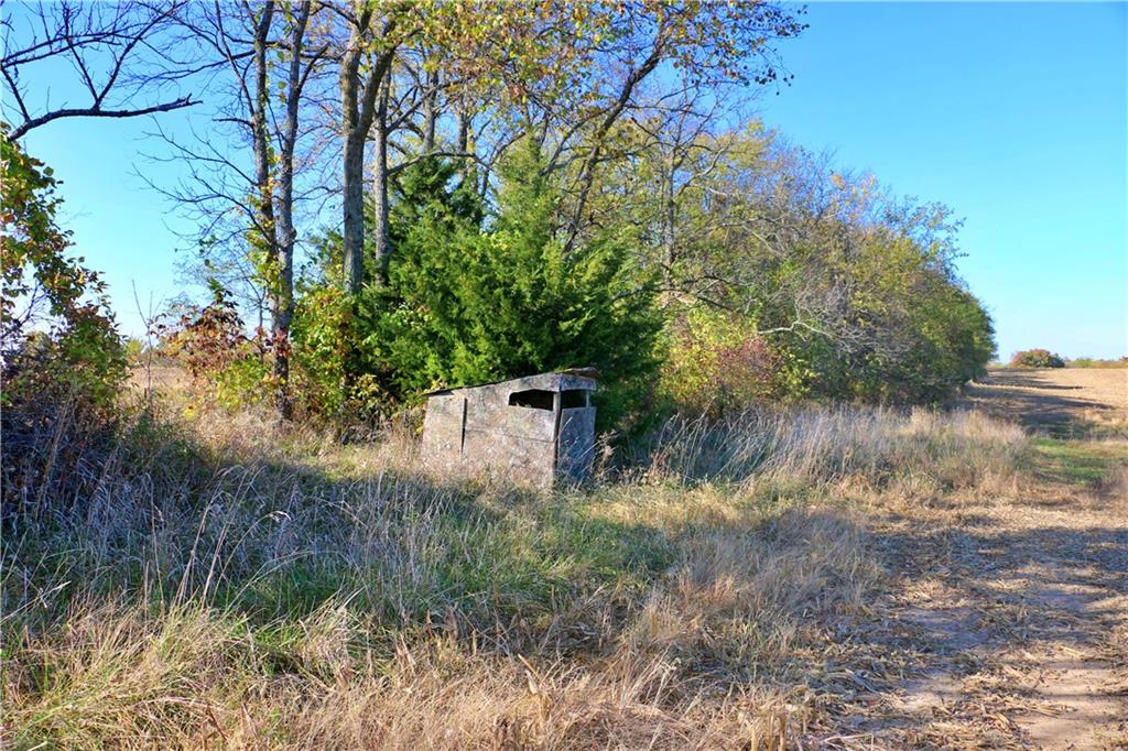 19904 Rattlesnake Road Property Photo 56
